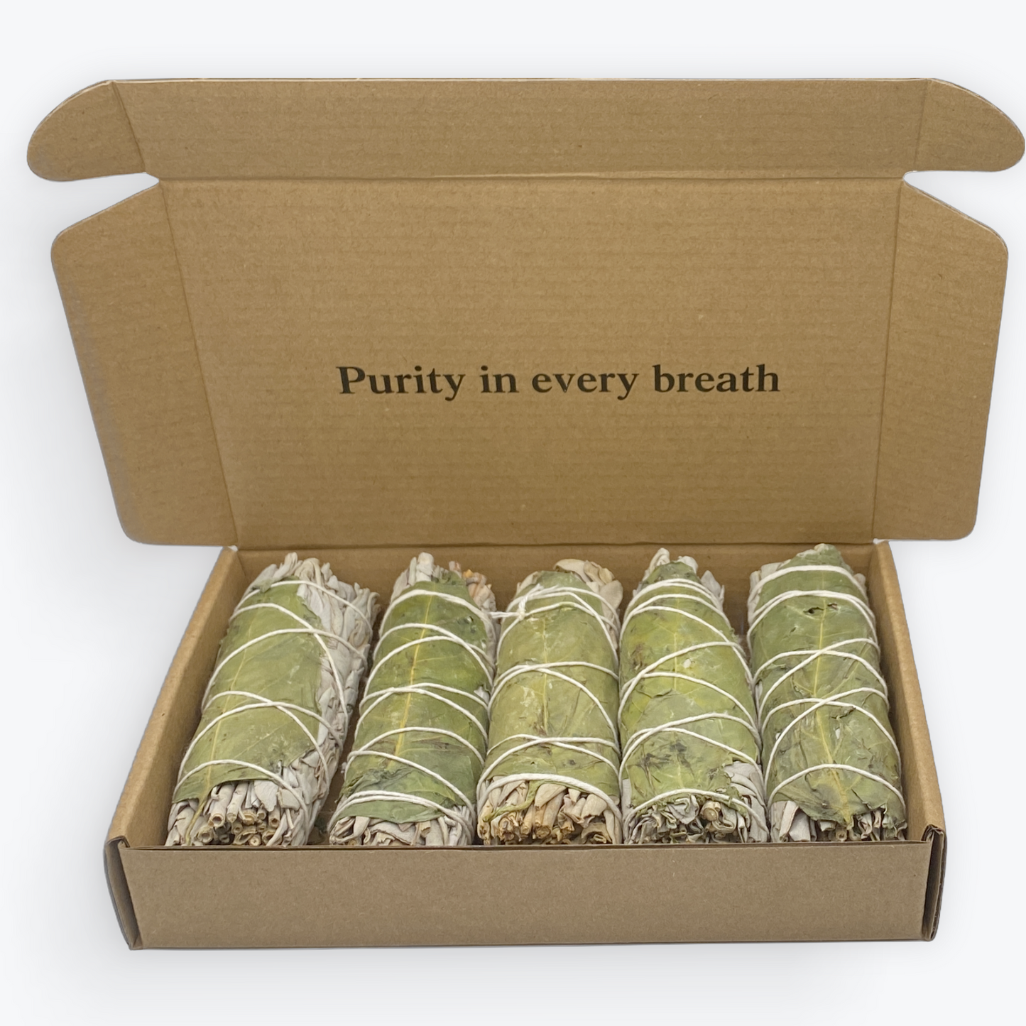 Coffret – 5 Sauges Blanche variété
