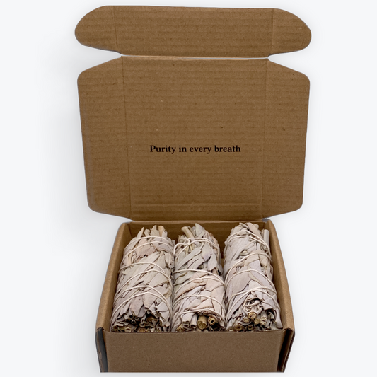 Coffret - 3 Sauges Blanche Californienne
