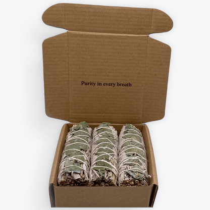 Sauge blanche & Eucalyptus – 11 cm – Fraîcheur naturelle