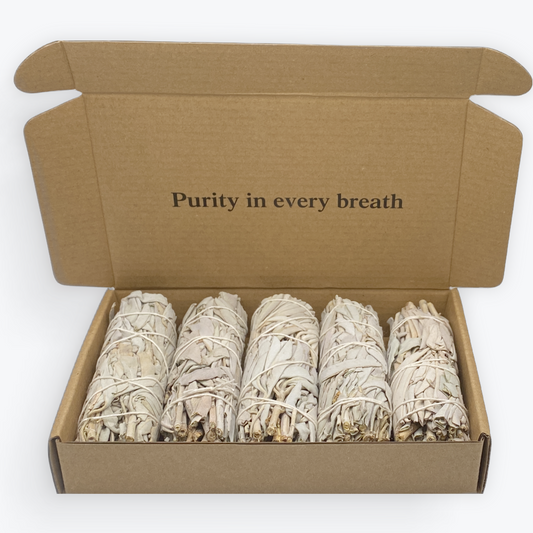 Coffret - 5 Sauges Blanche Californienne