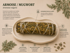 Armoise (Mugwort) – Fagot de fumigation
