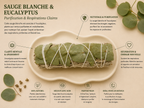 Coffret Purifiant