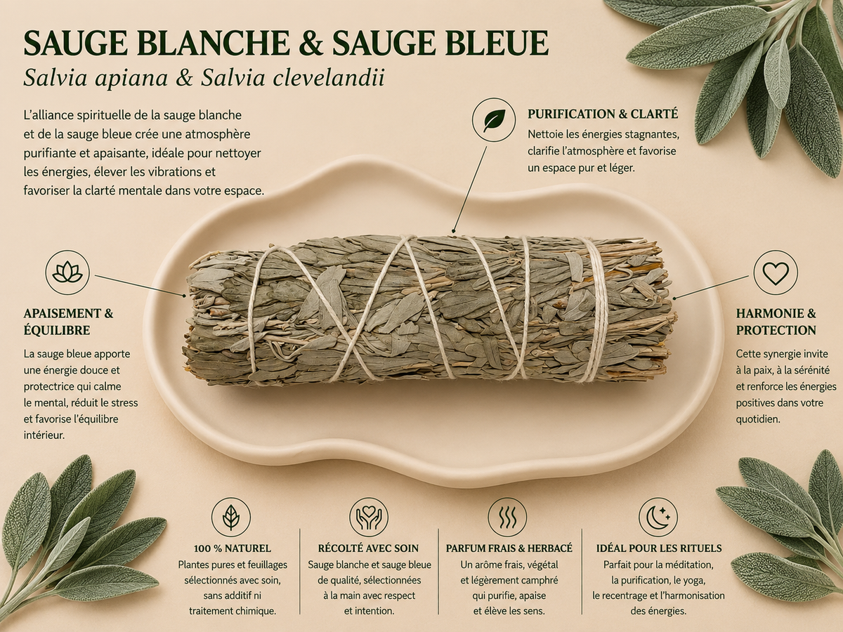 Sauge Blanche & Sauge Bleue