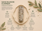 Coffret L'Expérience