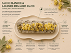 Sauge Blanche & Lavande de Mer Jaune