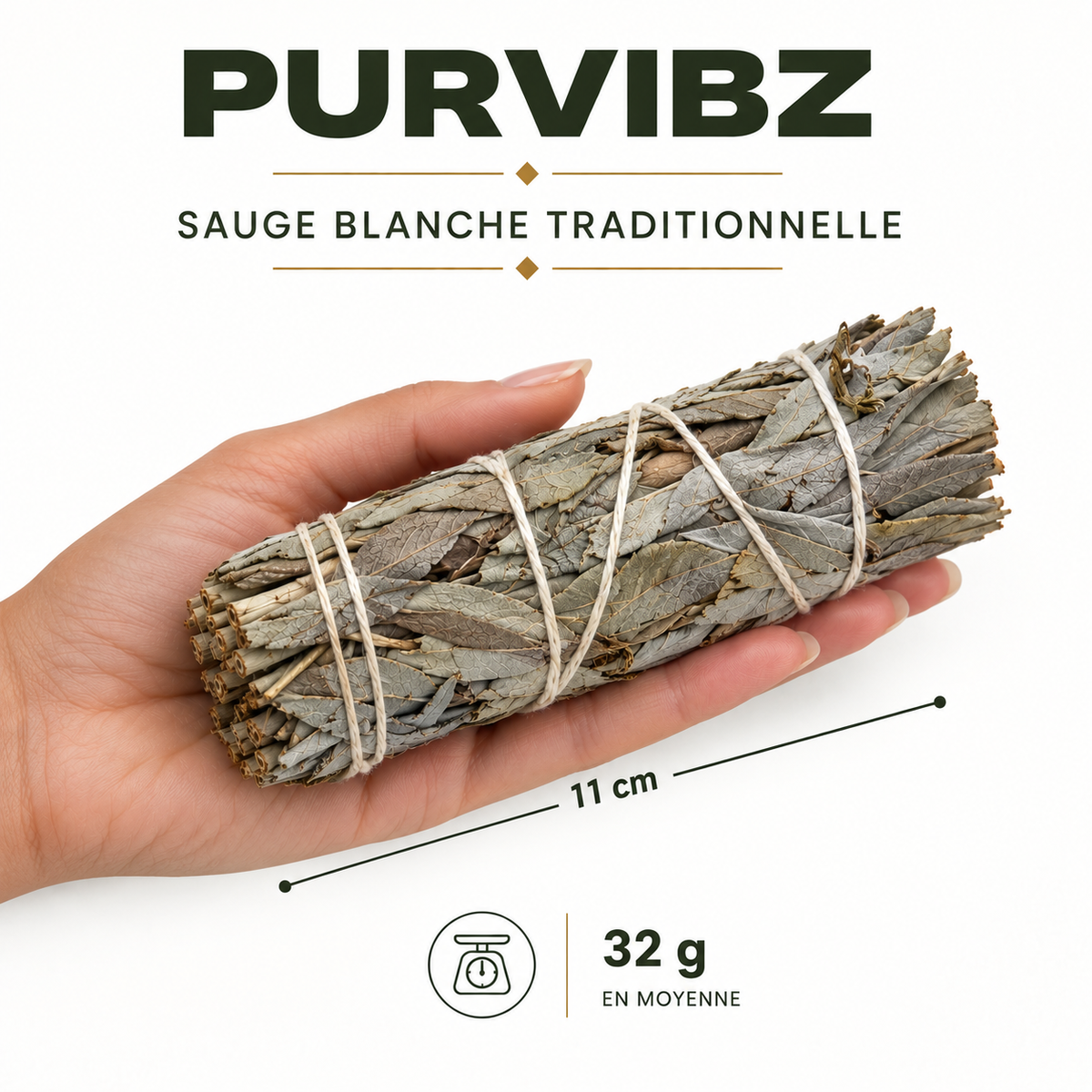 Sauge blanche Californienne